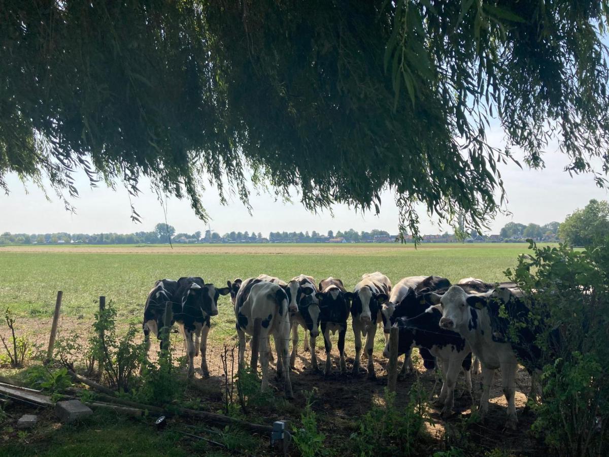 Vakantiehuis Het Uilennest Wijdenes ภายนอก รูปภาพ