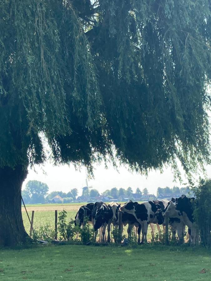 Vakantiehuis Het Uilennest Wijdenes ภายนอก รูปภาพ