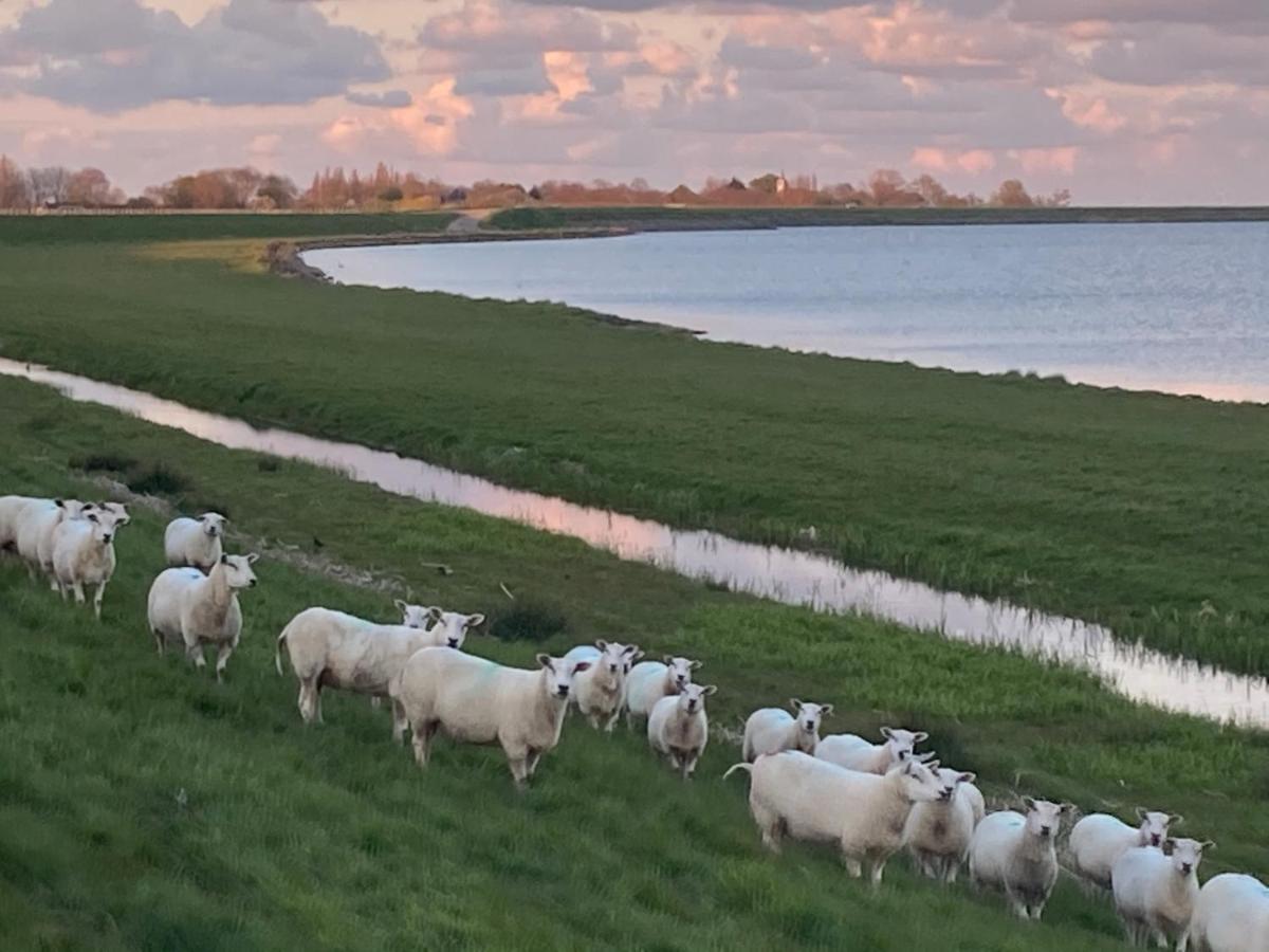 Vakantiehuis Het Uilennest Wijdenes ภายนอก รูปภาพ