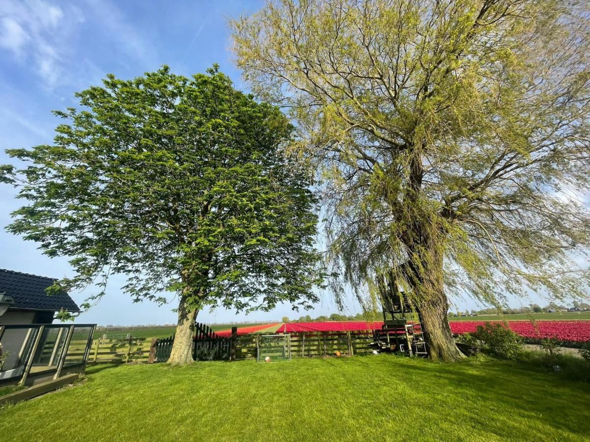 Vakantiehuis Het Uilennest Wijdenes ภายนอก รูปภาพ