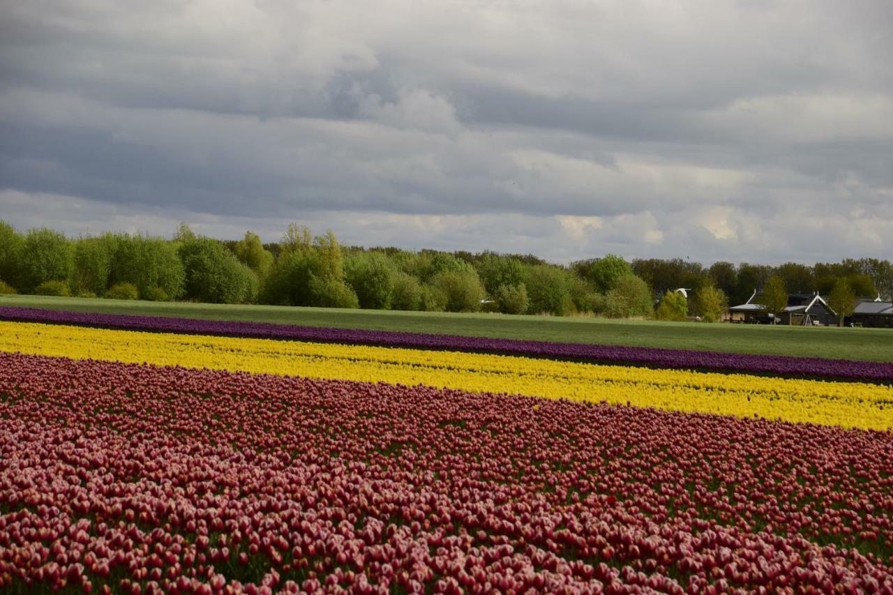 Vakantiehuis Het Uilennest Wijdenes ภายนอก รูปภาพ