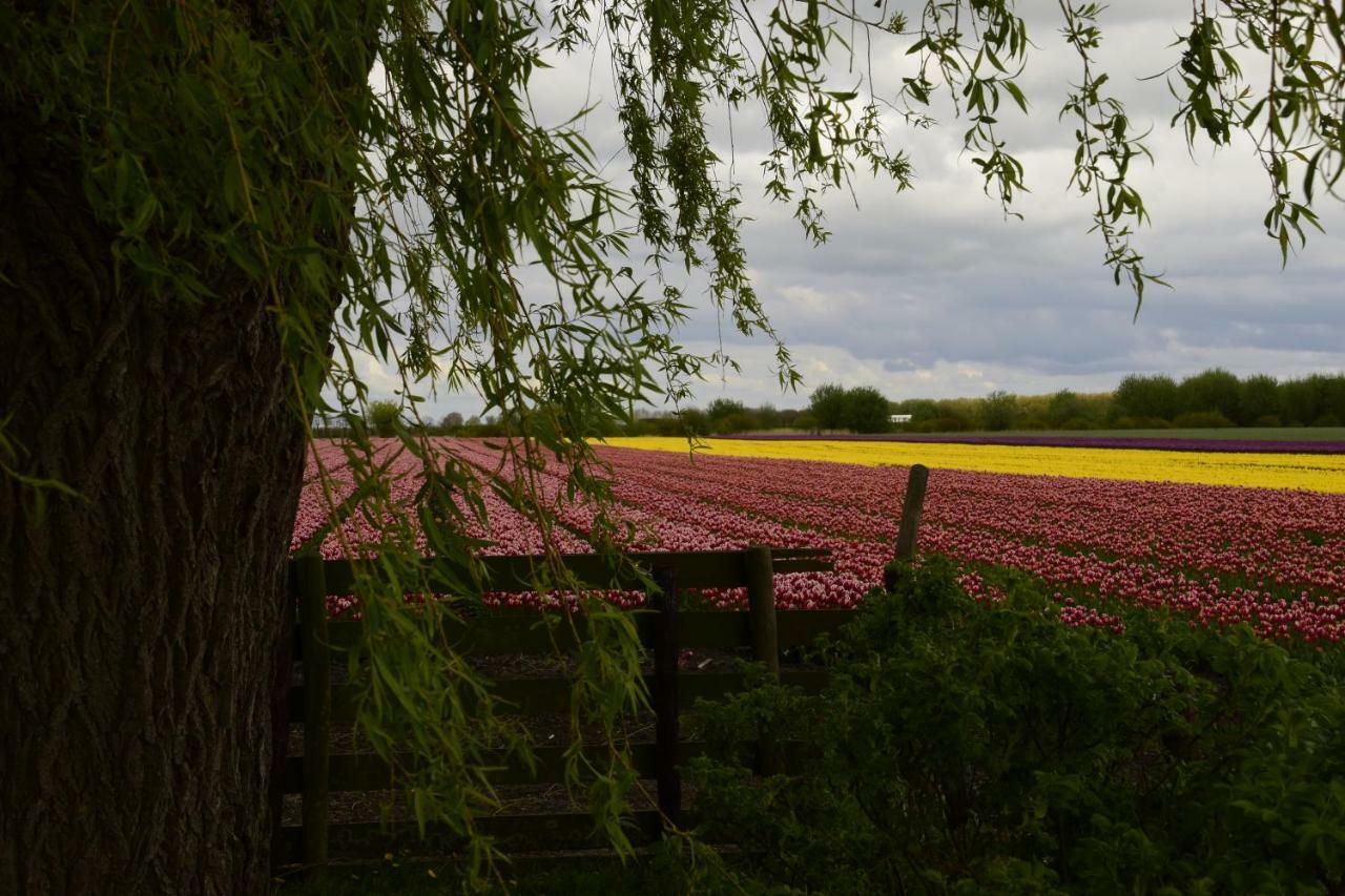 Vakantiehuis Het Uilennest Wijdenes ภายนอก รูปภาพ