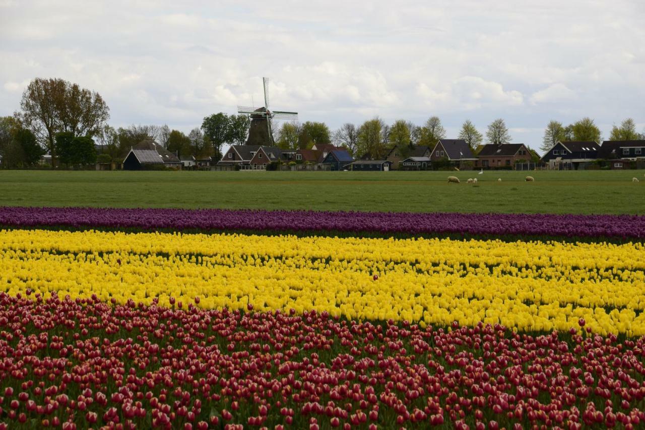 Vakantiehuis Het Uilennest Wijdenes ภายนอก รูปภาพ